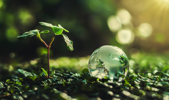 How to Monetize Your Expertise in Environmental Sustainability