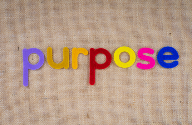 Find Your Purpose