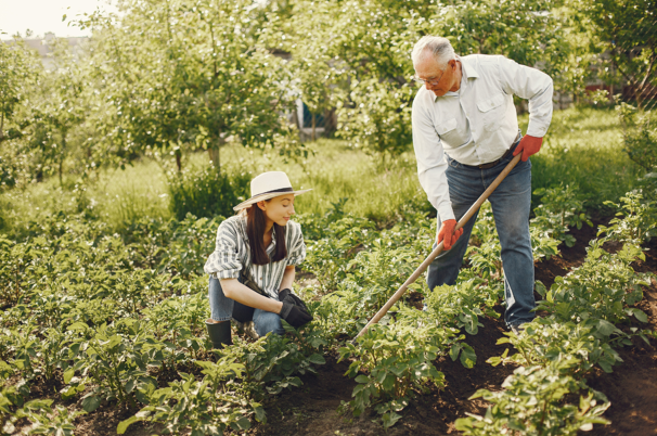 Gardening